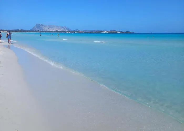 Bellavista San Teodoro Vista Mare 公寓